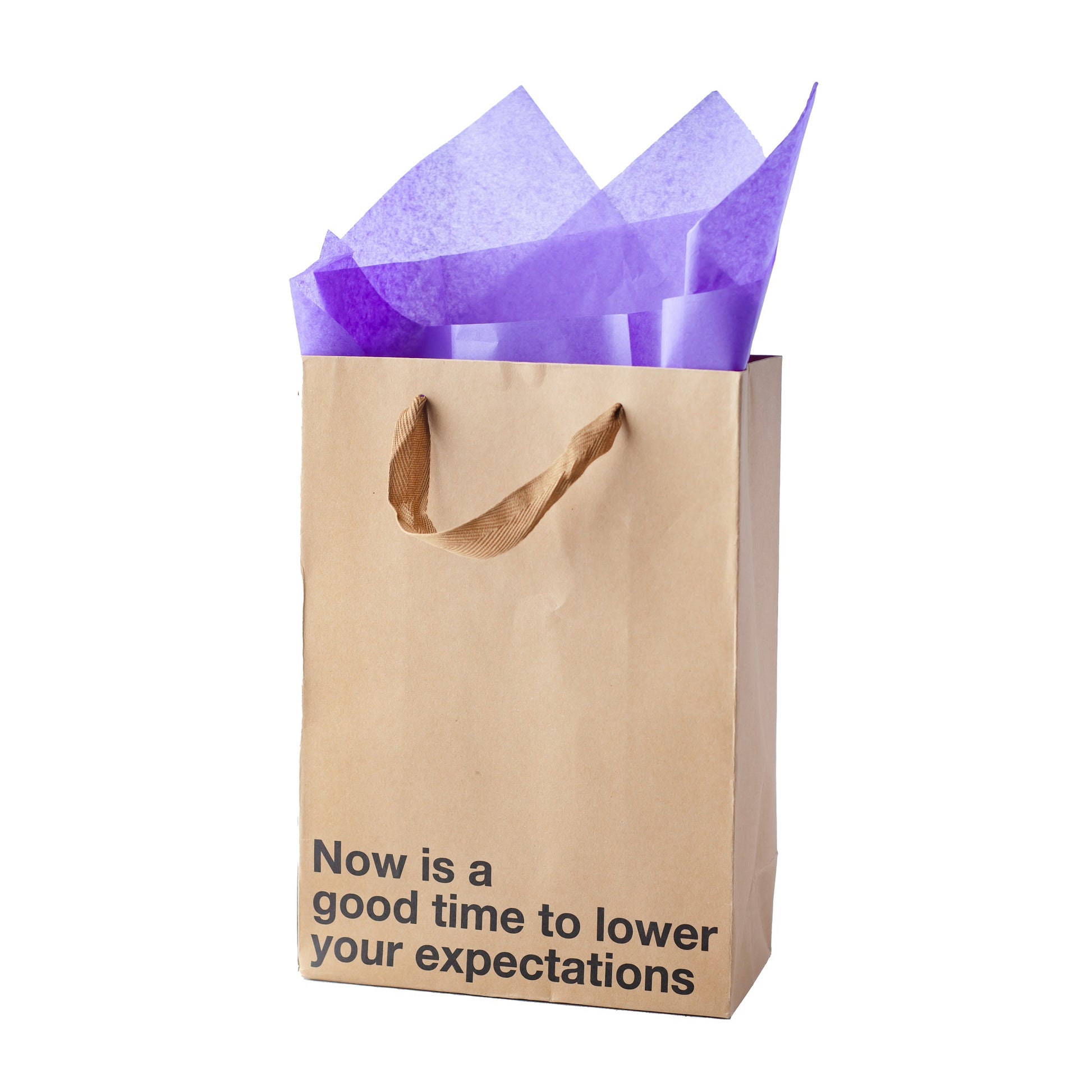 "Lower Your Expectations" gift bag – Funny kraft gift bag for adults.