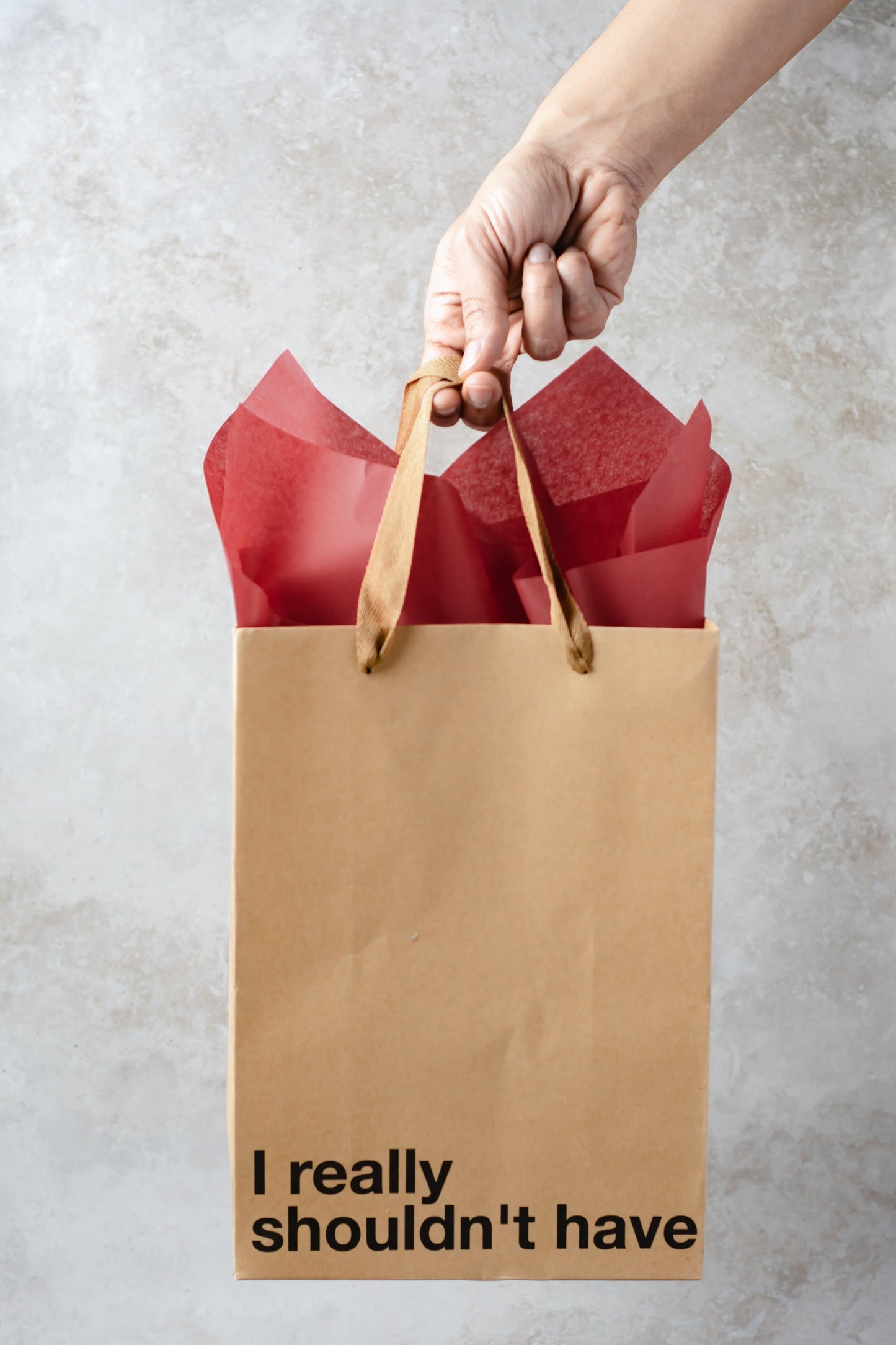 "I Really Shouldn't Have" kraft gift bag – Funny adult gift bag with a brown ribbon.