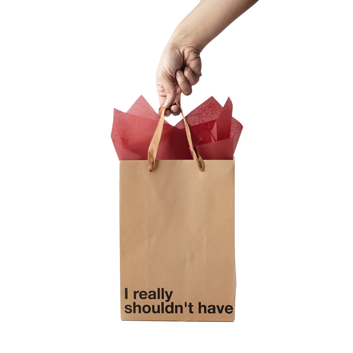 "I Really Shouldn't Have" kraft gift bag – Funny adult gift bag with a brown ribbon.