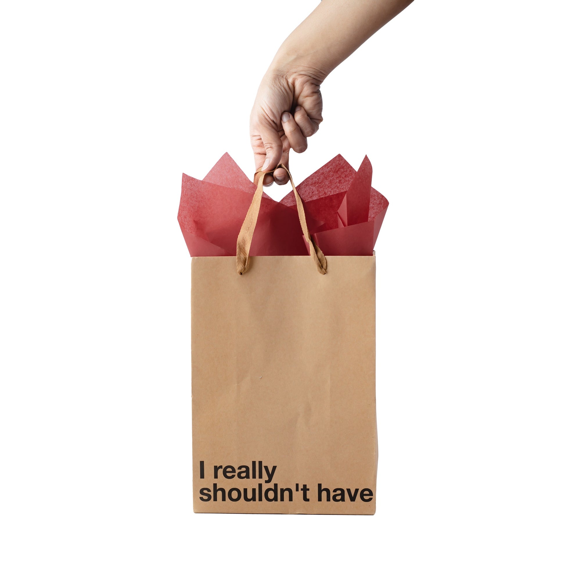 "I Really Shouldn't Have" kraft gift bag – Funny adult gift bag with a brown ribbon.