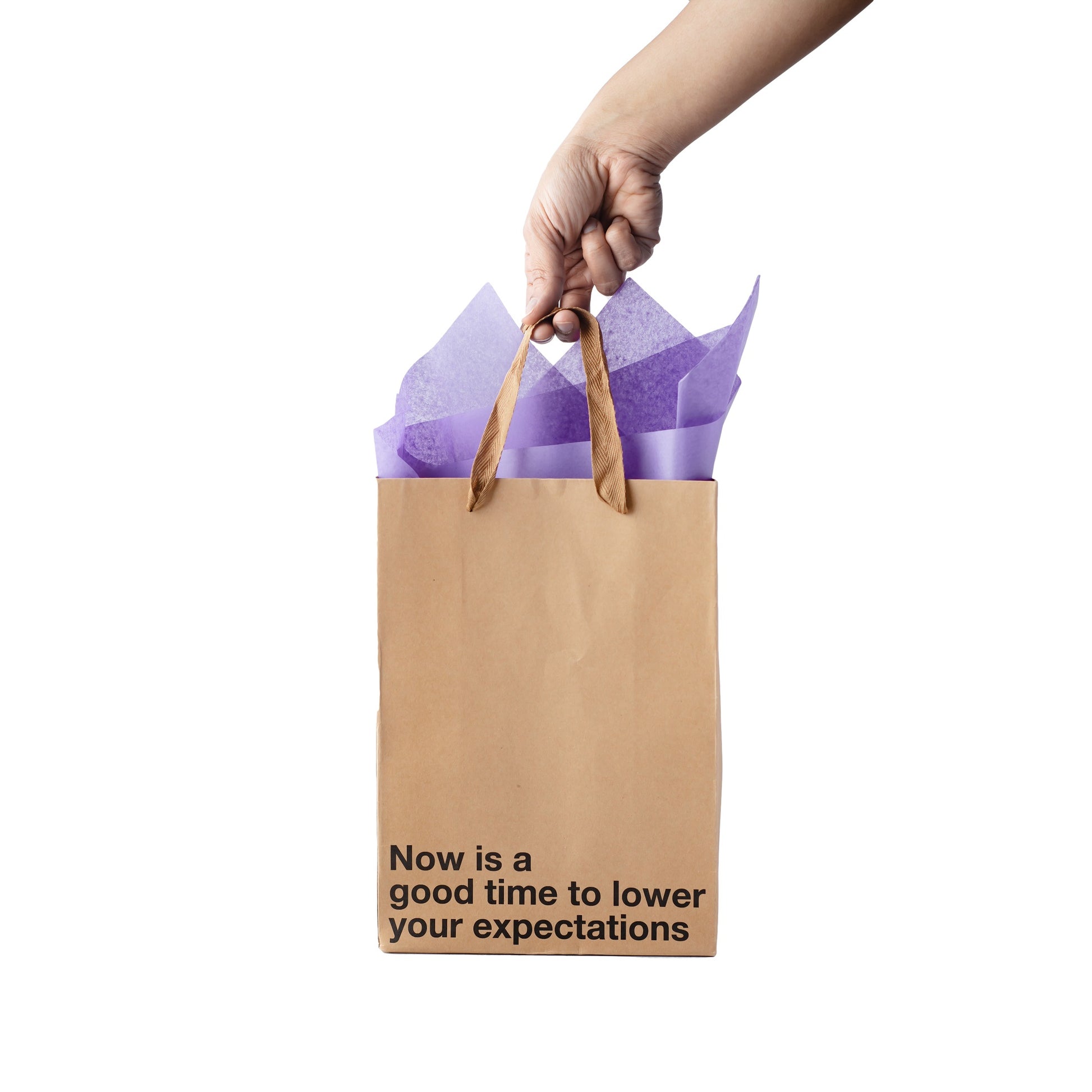 "Lower Your Expectations" gift bag – Funny kraft gift bag for adults.