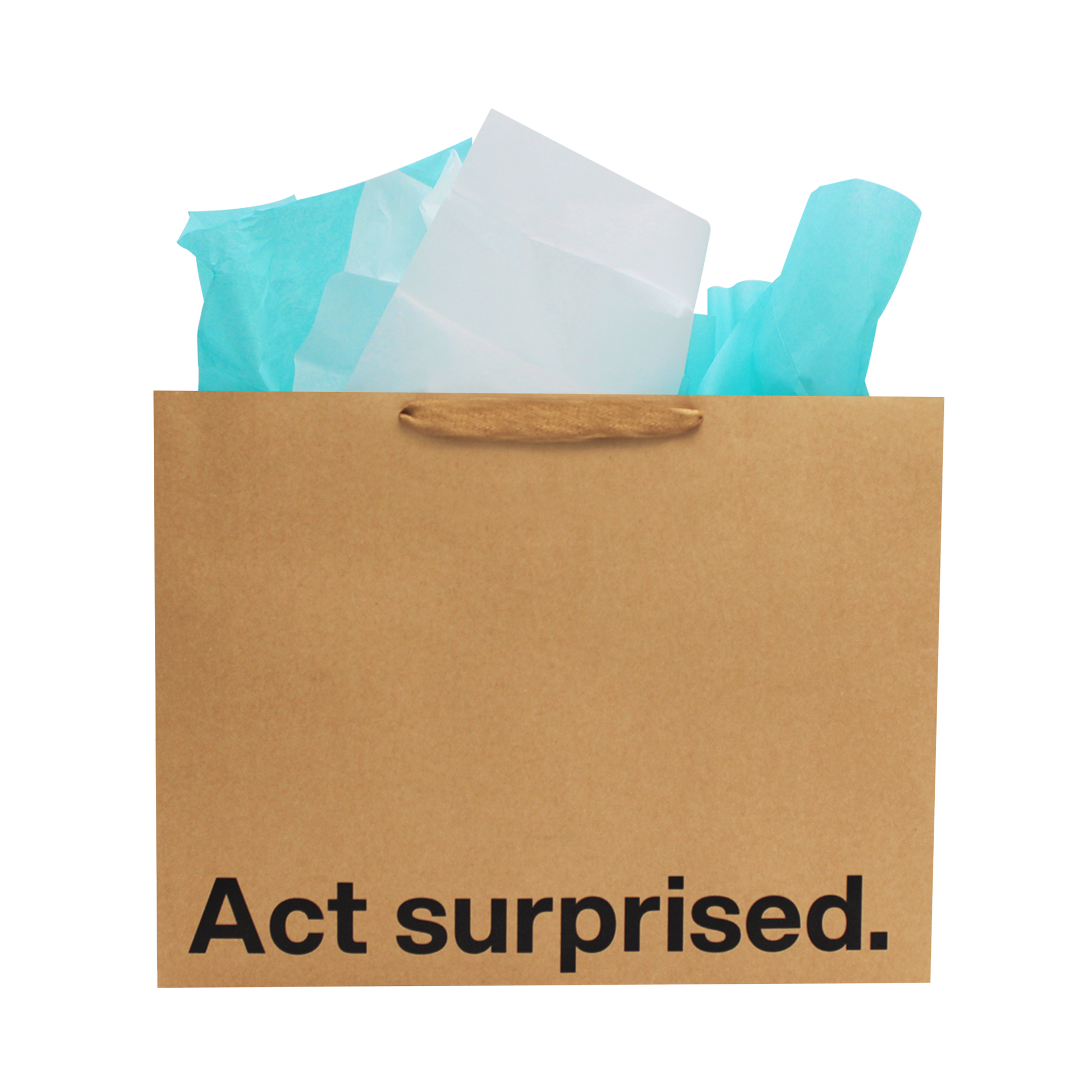 "Act Surprised" Large Gift Bag - Offensive Crayons