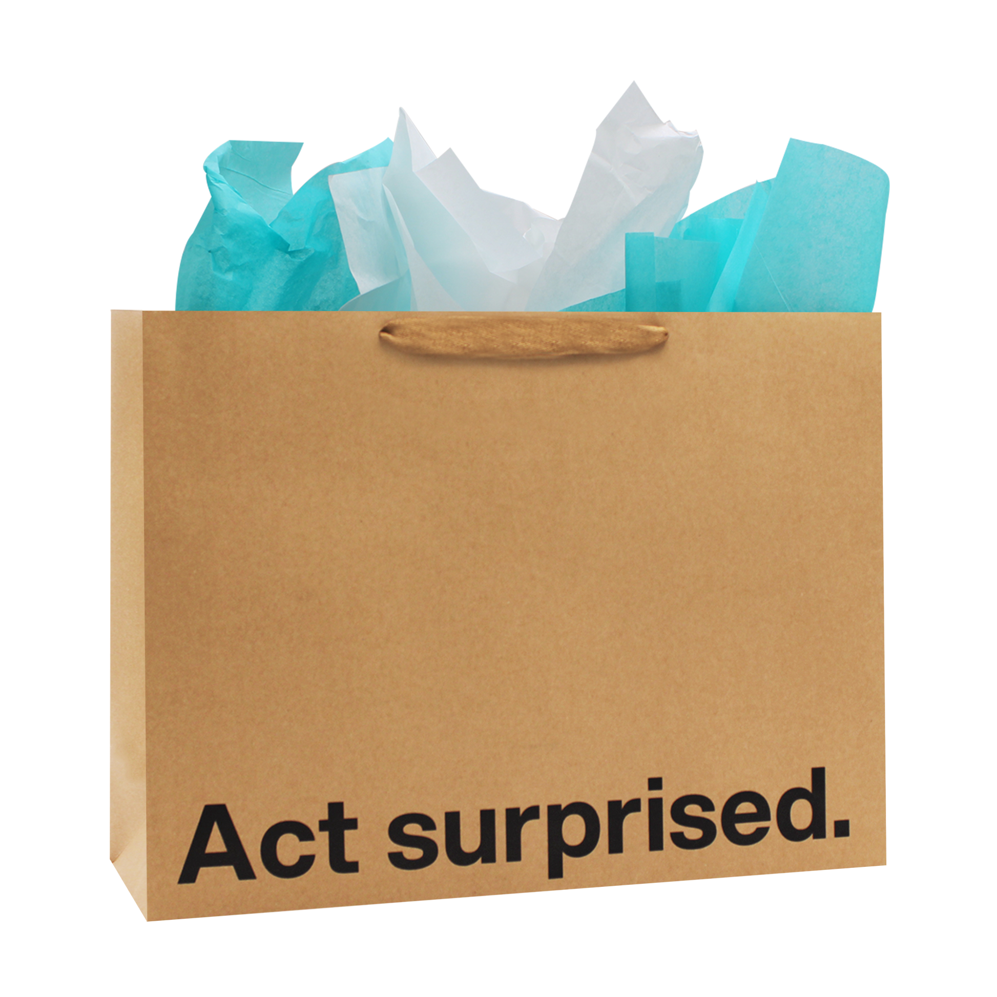 "Act Surprised" Large Gift Bag - Offensive Crayons