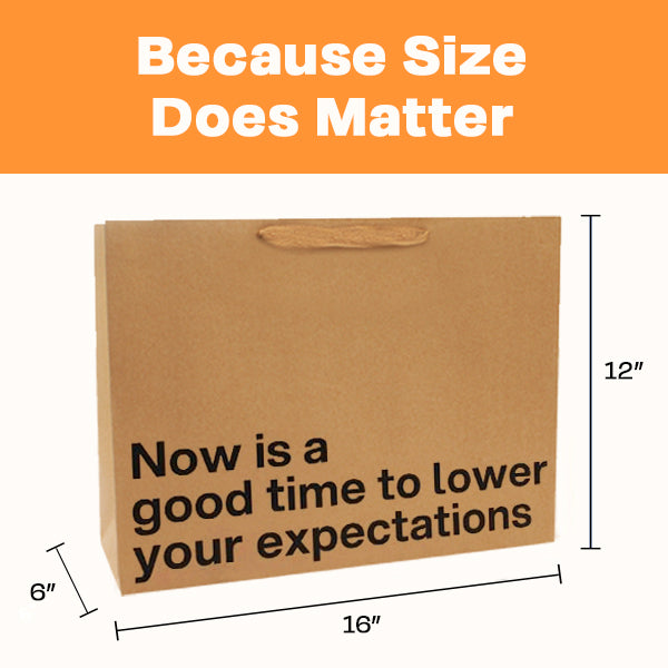 "Now Is A Good Time To Lower Your Expectations" Large Gift Bag - Offensive Crayons