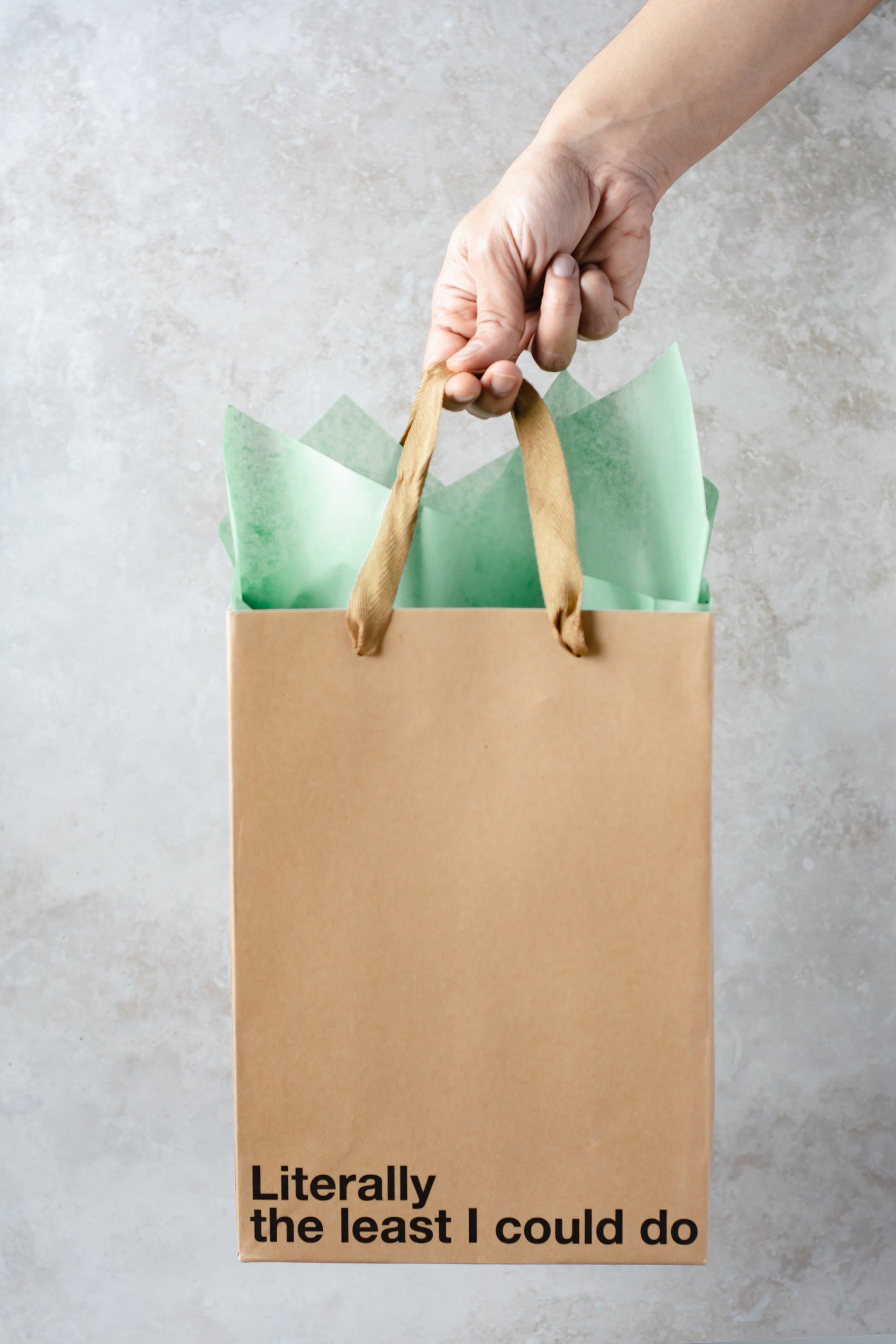 "The Least I Could Do" gift bag – funny, sarcastic Kraft gift bag for adults.