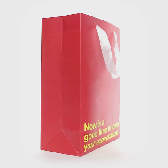 5 Kraft gift bags with funny and sarcastic sayings, perfect for unique gifting.