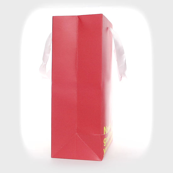 "Lower Your Expectations" Red gift bag – Funny kraft gift bag for adults.