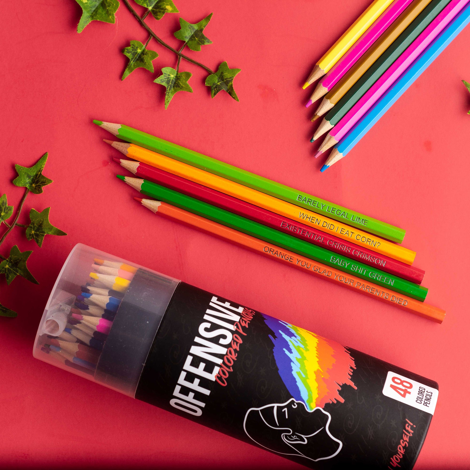 Offensive Colored Pencils set of 48 wooden colored pencils with bold, unique color pencils in pack.