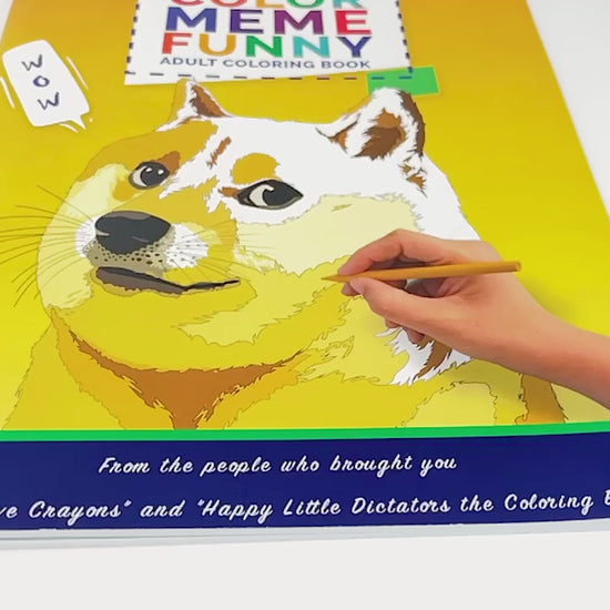 Meme coloring book with humorous designs and meme-inspired illustrations.